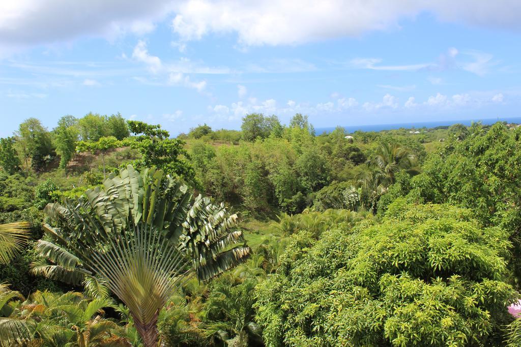 Ferienwohnung Coco Land Sainte-Anne  Exterior foto